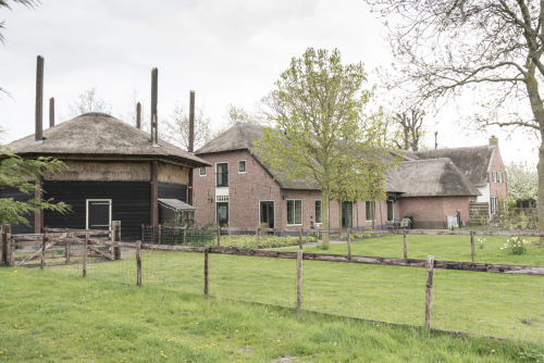 2015-04-29 Hein Athmer 0811 LR.jpg